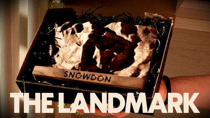 The Landmark